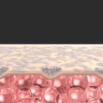 Centellian 24 Madeca Derma Prime Prism Pink Edition With 4 Ampoules image 1
