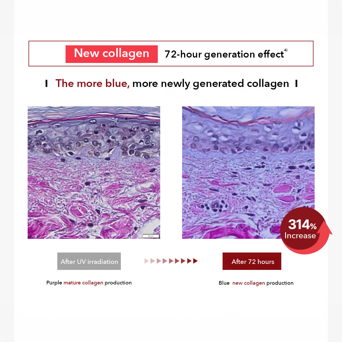 Centellian 24 Madeca Cream Time Reverse | Korean Skincare Centella Asiatica image 7