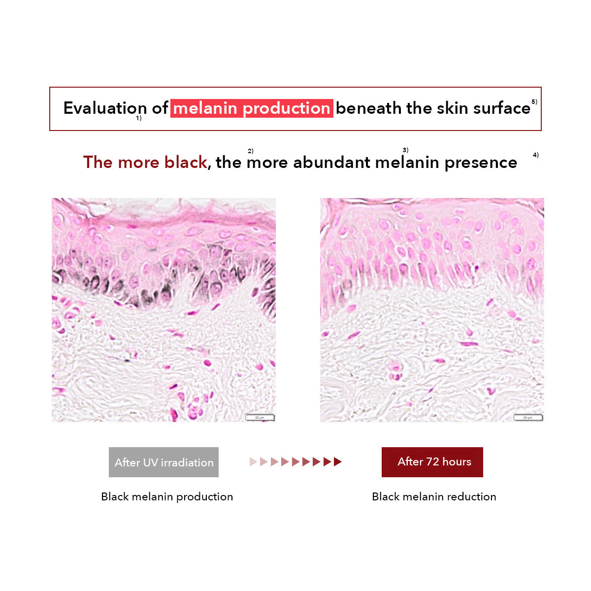 Centellian 24 Madeca Cream Time Reverse | Korean Skincare Centella Asiatica image 11