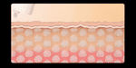 Centellian 24 Madeca Prime Infinity [Korean Ver.] Korean Beauty Device image 7
